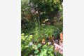 6 King Street, Cherry Orchard, Shrewsbury, Shropshire, SY2 5ER