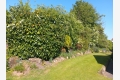 The Laurels, Rodington, Shrewsbury, Shropshire, SY4 4QN